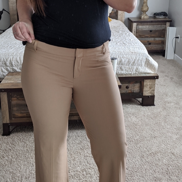 ❤️SALE❤️🌿BCBG MAXAZRIA PANTS🌿 - Picture 7 of 12